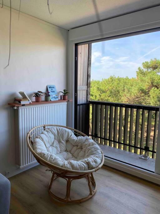 Ferienwohnung Grand T2 A 150M De La Plage Seignosse Exterior foto